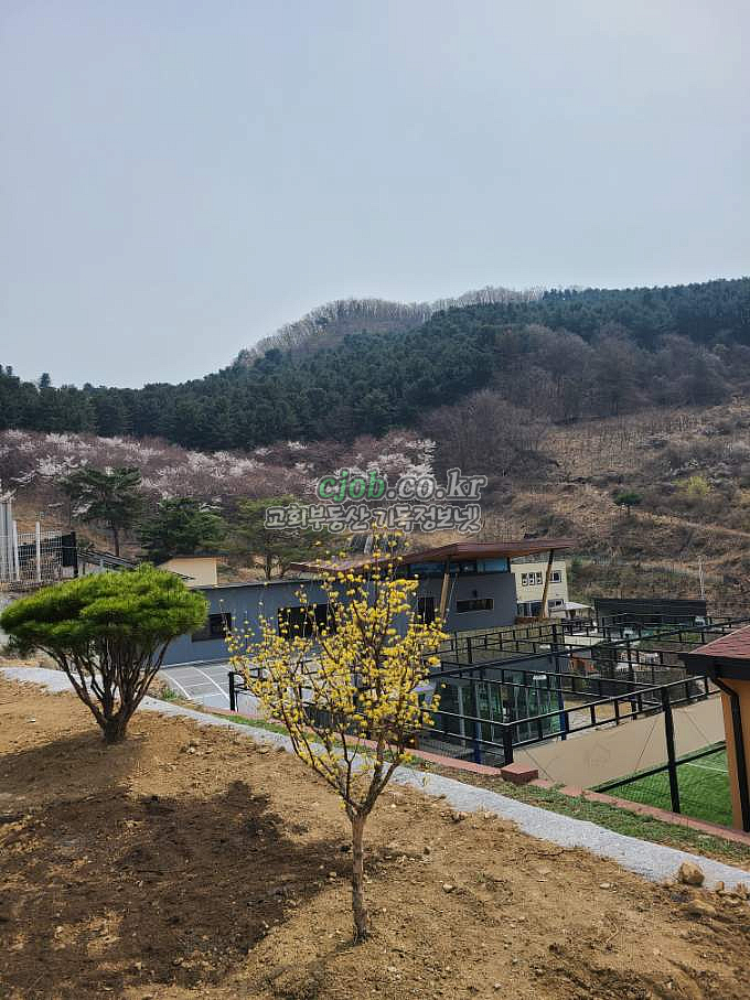 🌳 휴식과 쉼, 안식의 장소 🌳 - 3번 사진