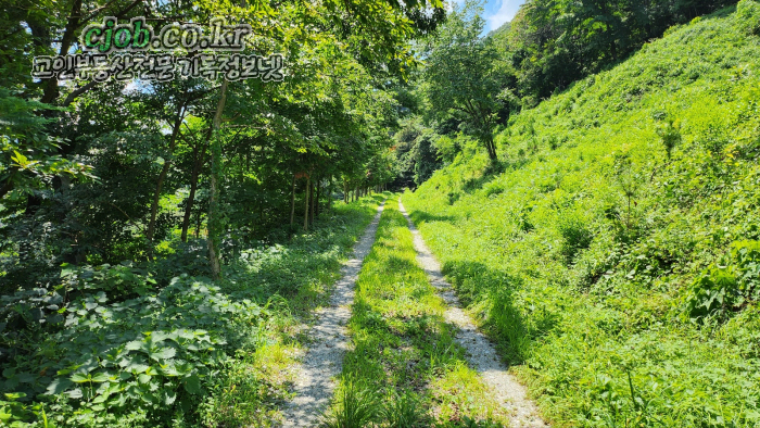 아산시 송악면 송학리 청정자연을 만끽할 수 있는 임야과 전 600평 - 1번째 사진. (기독정보넷 - 기독교 일반부동산.) 