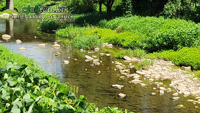 아산시 송악면 송학리 청정자연을 만끽할 수 있는 임야과 전 600평 - 7번째 사진. (기독정보넷 - 기독교 일반부동산.) 