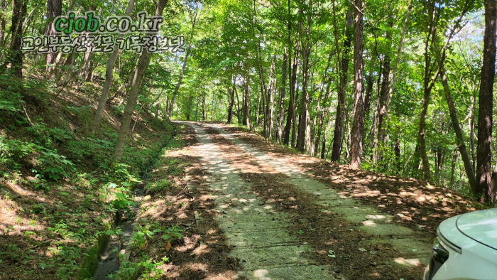 아산시 송악면 송학리 청정자연을 만끽할 수 있는 임야과 전 600평 - 4번째 사진. (기독정보넷 - 기독교 일반부동산.) 