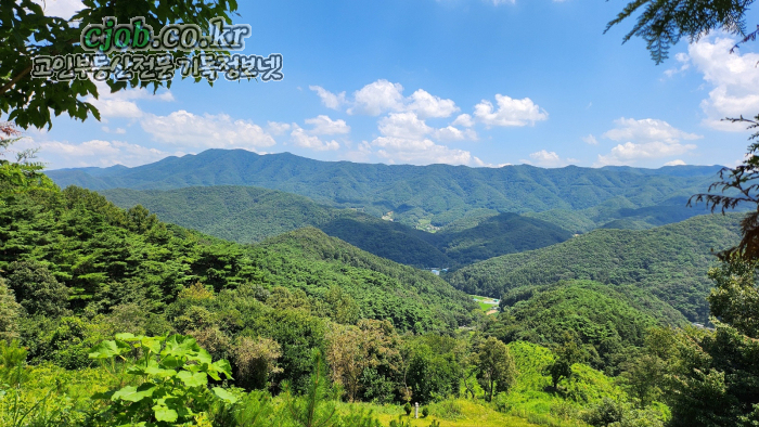 아산시 송악면 송학리 청정자연을 만끽할 수 있는 임야과 전 600평 - 2번째 사진. (기독정보넷 - 기독교 일반부동산.) 